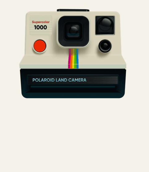 Vintage Polaroid Camera